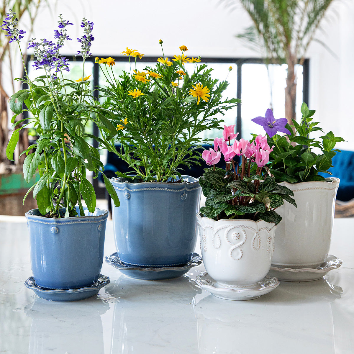 Berry & Thread 7" Planter - Chambray | 2nd