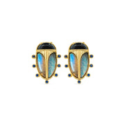 Pair of gold earrings with blue gemstones on a white background